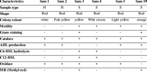 Spore Staining and Biochemical Characterization of Bacillus.
